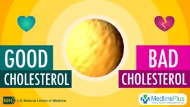 Cholesterol: Good & Bad!