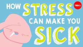 Effect of Stress on Body