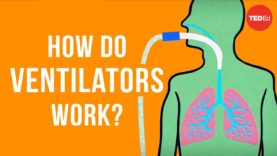 How do Ventilators work?