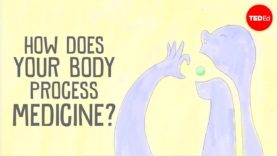 How does body process a medicine?