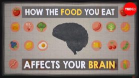 How food affects our brain?