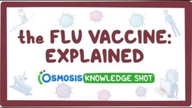 Influenza (Flu) Vaccine