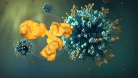 Understanding Influenza (Flu)