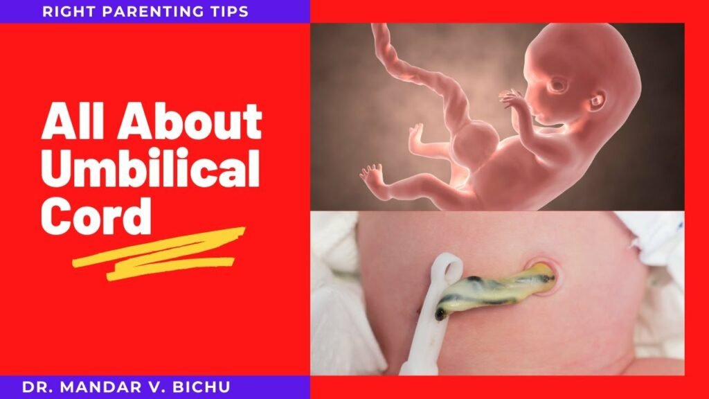 Umbilical Cord Care & Problems Health Video Tips
